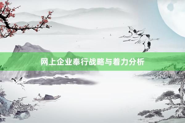 网上企业奉行战略与着力分析