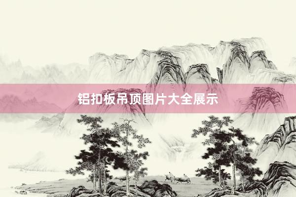 铝扣板吊顶图片大全展示