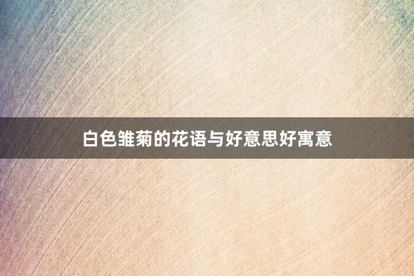 白色雏菊的花语与好意思好寓意