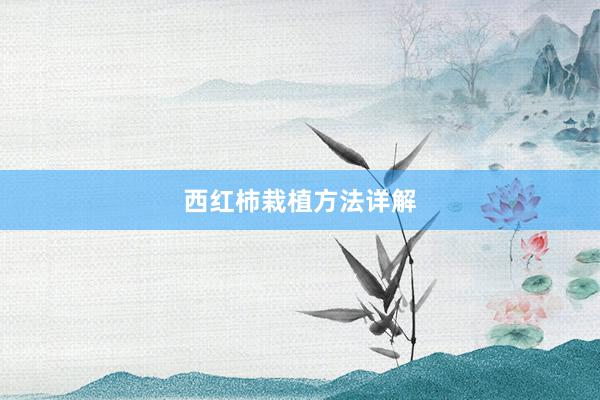 西红柿栽植方法详解